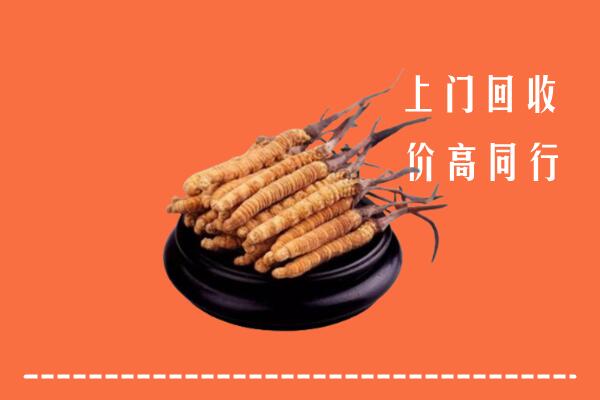 附近收购：梁河县冬虫夏草回收多少钱每克