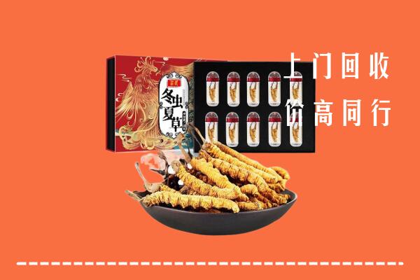附近收购：梁河县回收虫草